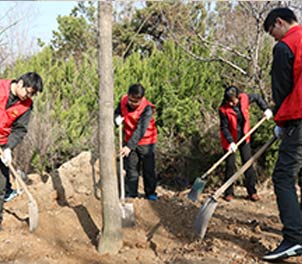 安博在线体育（中国）官方网站志愿者义务植树